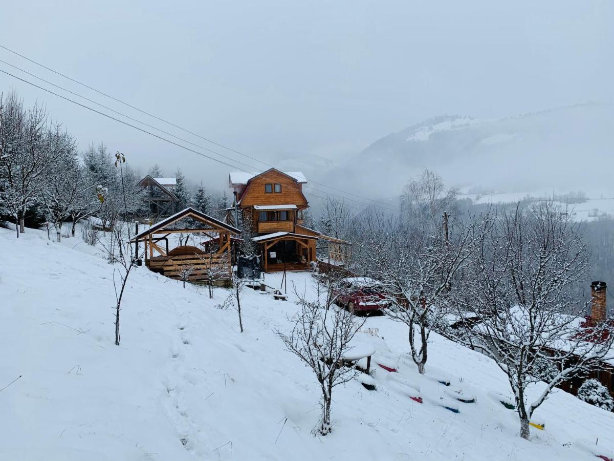 Cabana Muntele Paltinei Villa Somesu Rece Exterior photo